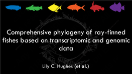 Comprehensive Phylogeny of Ray-Finned Fishes Based on Transcriptomic and Genomic