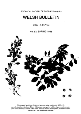 Welsh Bulletin