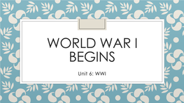 World War I Begins