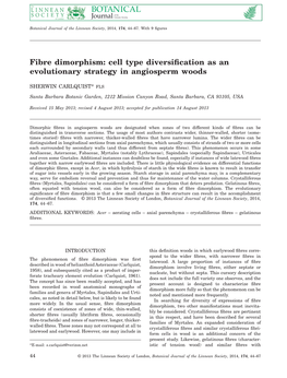 Fibre Dimorphism: Cell Type Diversiﬁcation As an Evolutionary Strategy in Angiosperm Woods