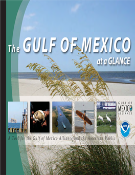 NOAA's Gulf of Mexico at a Glance