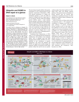 Ubiquitin and SUMO in DNA Repair at a Glance