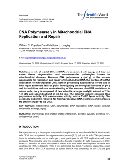 DNA Polymerase Γ in Mitochondrial DNA Replication and Repair