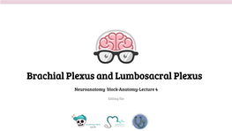 Brachial Plexus and Lumbosacral Plexus