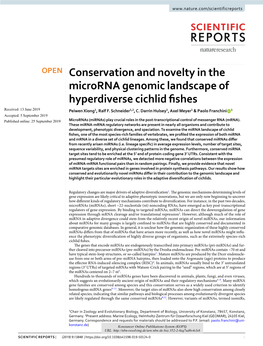 Conservation and Novelty in the Microrna Genomic Landscape of Hyperdiverse Cichlid Fishes