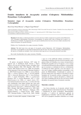 Estados Inmaduros De Ancognatha Ustulata (Coleoptera: Melolonthidae: Dynastinae: Cyclocephalini)