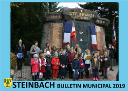 Steinbach Bulletin Municipal 2019