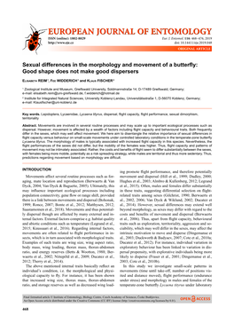 Sexual Differences in the Morphology and Movement of a Butterfly