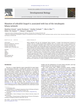 Mutation of Zebrafish Snapc4 Is Associated with Loss of The