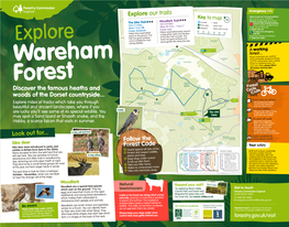 Wareham Forest Wa Y Timber Or Repairing Tracks