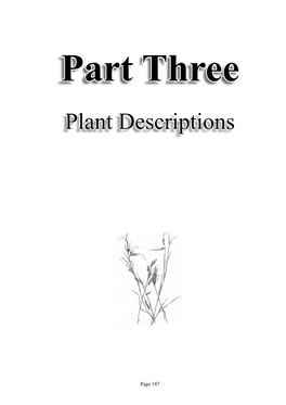 Vegetation Book Plant Descriptions
