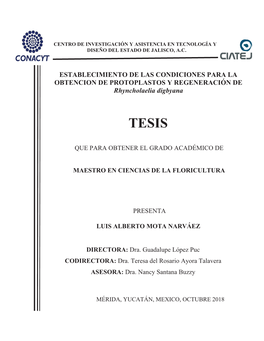 ESTABLECIMIENTO DE LAS CONDICIONES PARA LA OBTENCION DE PROTOPLASTOS Y REGENERACIÓN DE Rhyncholaelia Digbyana