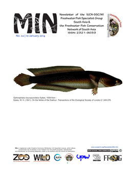The Kingfishes of the Eastern Himalaya W