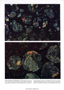 Chondrites and Chondrules