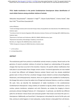 Stable Transfection in the Protist Corallochytrium Limacisporum Allows Identification of Novel Cellular Features Among Unicellular Relatives of Animals