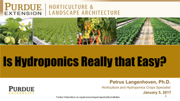 Is Hydroponics Really That Easy?