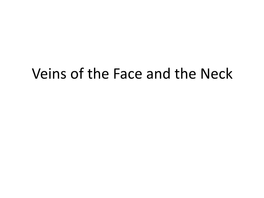 Veins of the Face and the Neck Facial Vein