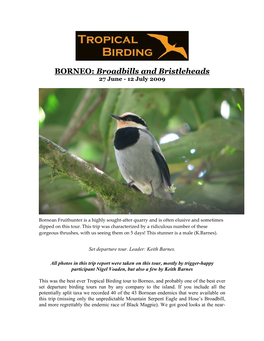 Tropical Birding Tour Report