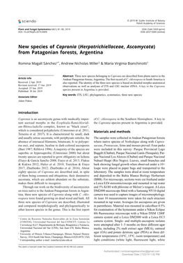 New Species of Capronia (Herpotrichiellaceae, Ascomycota) from Patagonian Forests, Argentina