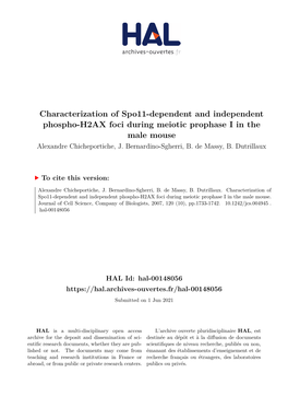 Characterization of Spo11-Dependent and Independent Phospho-H2AX Foci During Meiotic Prophase I in the Male Mouse Alexandre Chicheportiche, J