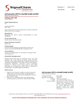 Anti-Phospho-STK10-A (Ser482 Ser486 Ser490) Rabbit Polyclonal Antibody