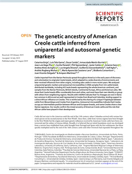 The Genetic Ancestry of American Creole Cattle Inferred From