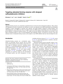 Targeting Adenylate-Forming Enzymes with Designed Sulfonyladenosine Inhibitors