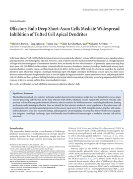 Olfactory Bulb Deep Short-Axon Cells Mediate Widespread Inhibition of Tufted Cell Apical Dendrites