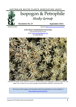 Isopogon & Petrophile