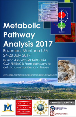 Metabolic Pathway Analysis 2017