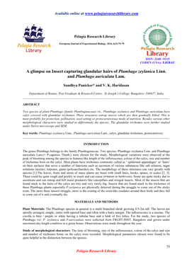 A Glimpse on Insect Capturing Glandular Hairs of Plumbago Zeylanica Linn