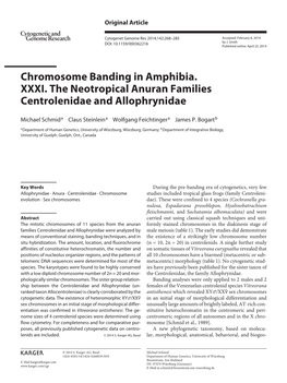 Chromosome Banding in Amphibia. XXXI. the Neotropical Anuran Families Centrolenidae and Allophrynidae
