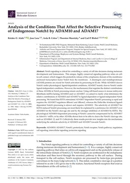 Analysis of the Conditions That Affect the Selective Processing of Endogenous Notch1 by ADAM10 and ADAM17
