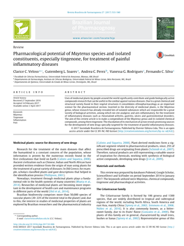 Pharmacological Potential of Maytenus Species and Isolated Constituents, Especially Tingenone, for Treatment of Painful Inflamma