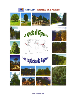 Le Specie Di Cipresso.Pdf