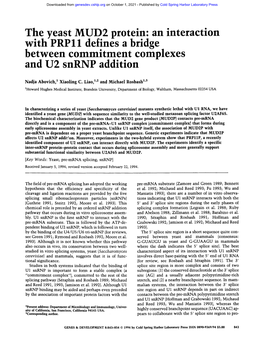 The Yeast MUD2 Protein: an Interaction with PRP11 Defines a Bridge Between Commitment Complexes and U2 Snrnp Addition