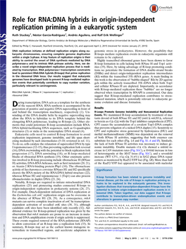 Role for RNA:DNA Hybrids in Origin-Independent Replication Priming in a Eukaryotic System