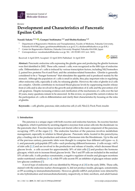 Development and Characteristics of Pancreatic Epsilon Cells