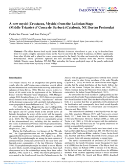 A New Mysid (Crustacea, Mysida) from the Ladinian Stage (Middle Triassic) of Conca De Barberà (Catalonia, NE Iberian Peninsula)