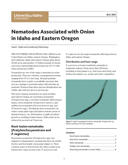 Nematodes Associated with Onion in Idaho and Eastern Oregon