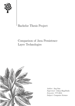 Bachelor Thesis Project Comparison of Java Persistence Layer