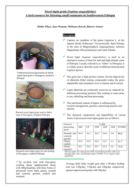 Sweet Lupin Grain (Lupinus Angustifolius) a Feed Resource for Fattening Small Ruminants in Southwestern Ethiopia