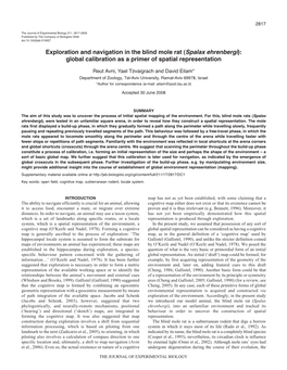 Exploration and Navigation in the Blind Mole Rat (Spalax Ehrenbergi): Global Calibration As a Primer of Spatial Representation