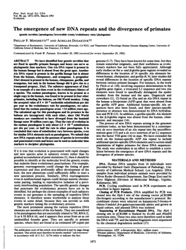 The Emergence of New DNA Repeats and the Divergence of Primates (Genetic Noveltles/Pseudogenes/Irreversible Events/Evolutionary Rates/Phylogenies) PHILLIP P