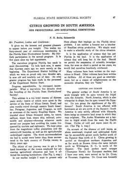 Citrus Growing in South America Our Productional