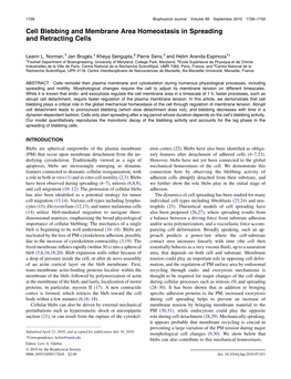 Cell Blebbing and Membrane Area Homeostasis in Spreading And&Nbsp