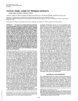 Ancient Single Origin for Malagasy Primates (Primate Origins/Cytochrome B/Molecular Evolution) ANNE D