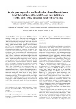 In Situ Gene Expression and Localization of Metalloproteinases MMP1, MMP2, MMP3, MMP9, and Their Inhibitors TIMP1 and TIMP2 in Human Renal Cell Carcinoma
