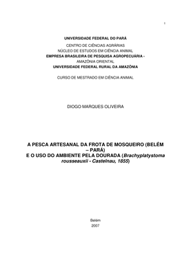 A PESCA ARTESANAL DA FROTA DE MOSQUEIRO (BELÉM – PARÁ) E O USO DO AMBIENTE PELA DOURADA ( Brachyplatystoma Rousseauxii - Castelnau, 1855 )
