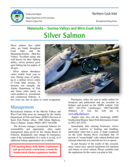 Silver Salmon